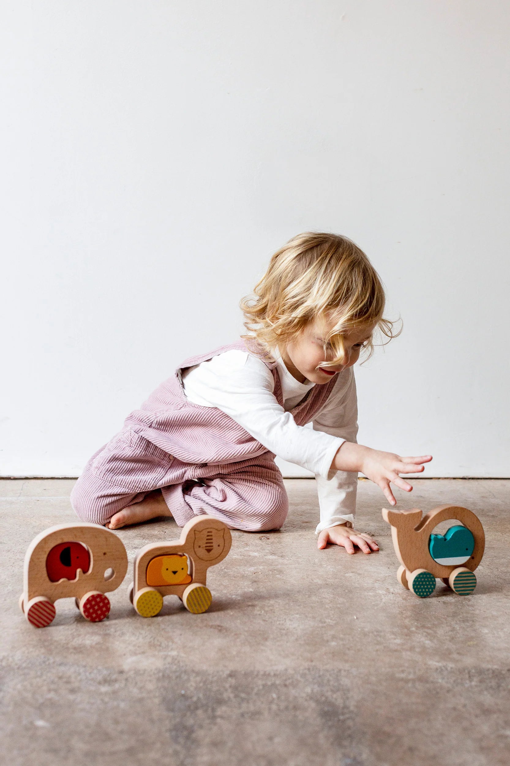 Lion and Baby Wooden Push Along