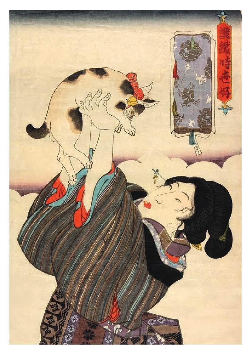 Cats: 50 Postcards