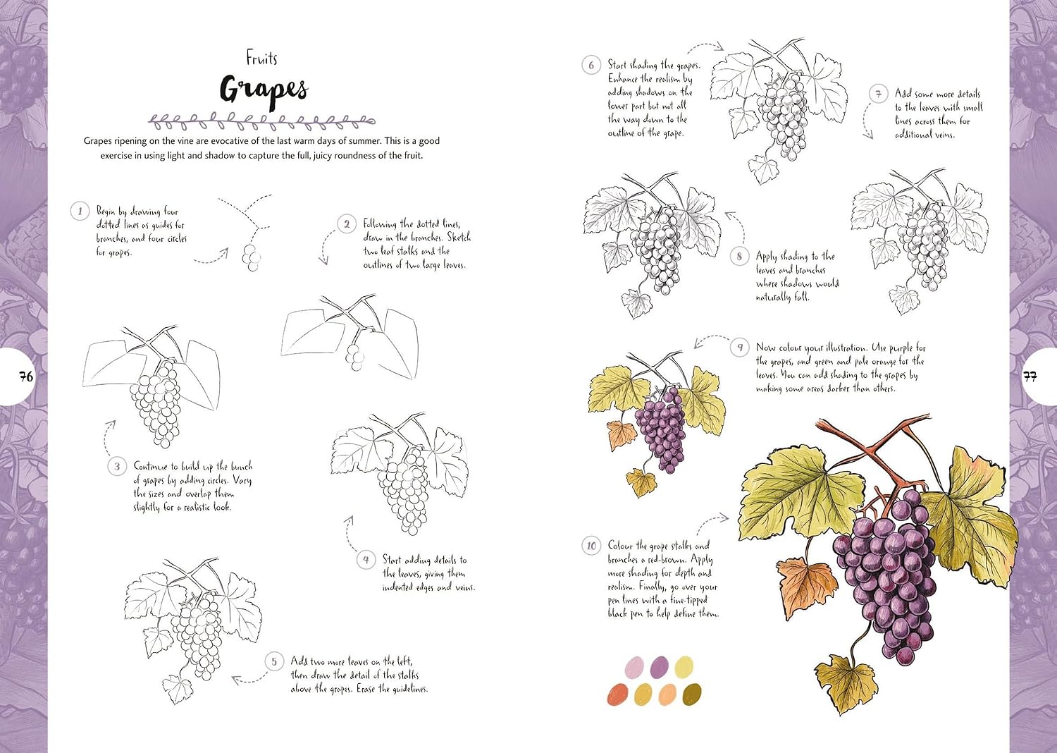 10 Step Drawing: Botanicals: Draw over 50 plants in 10 easy steps
