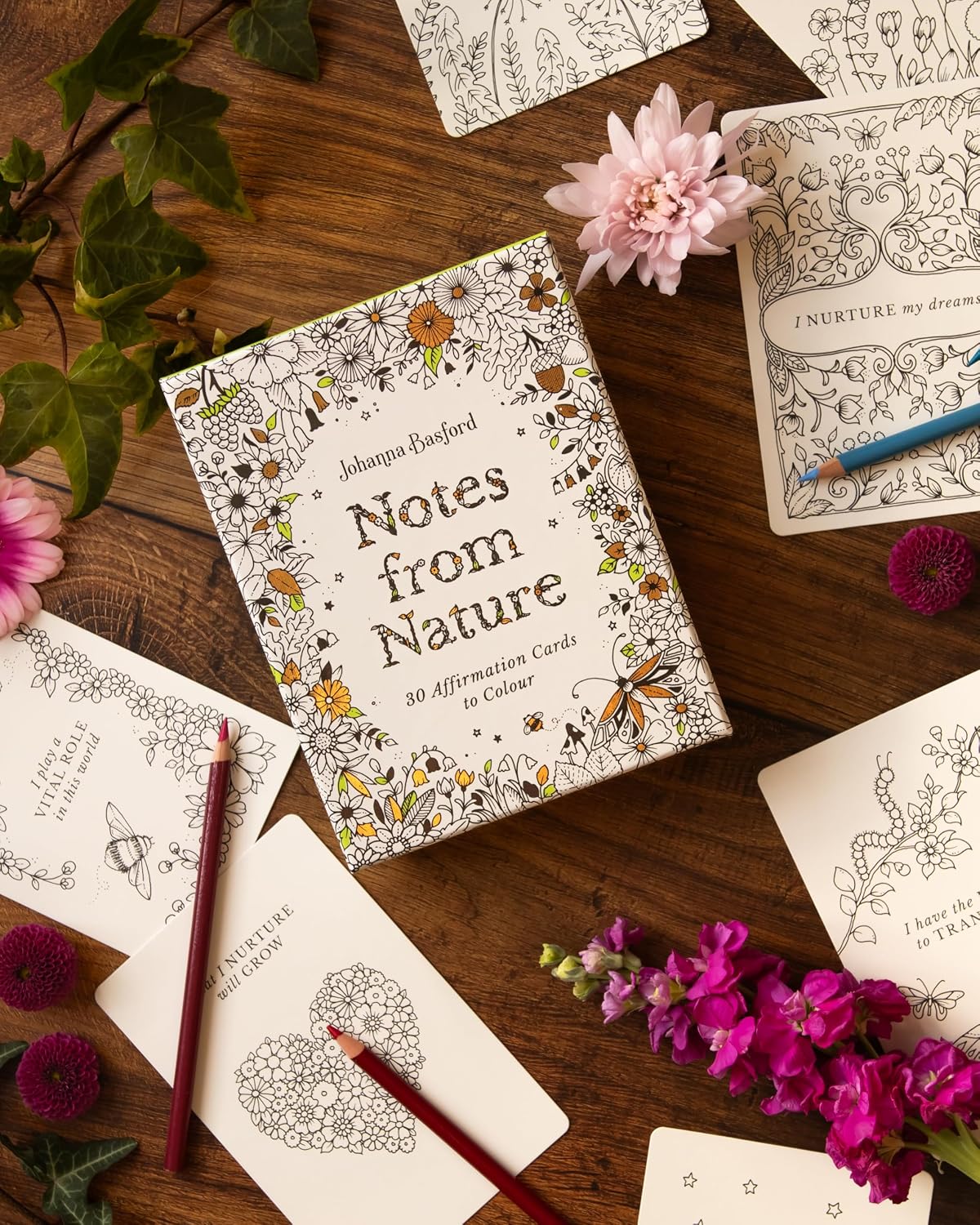 Johanna Basford's Notes from Nature: 30 Affirmation Cards to Colour