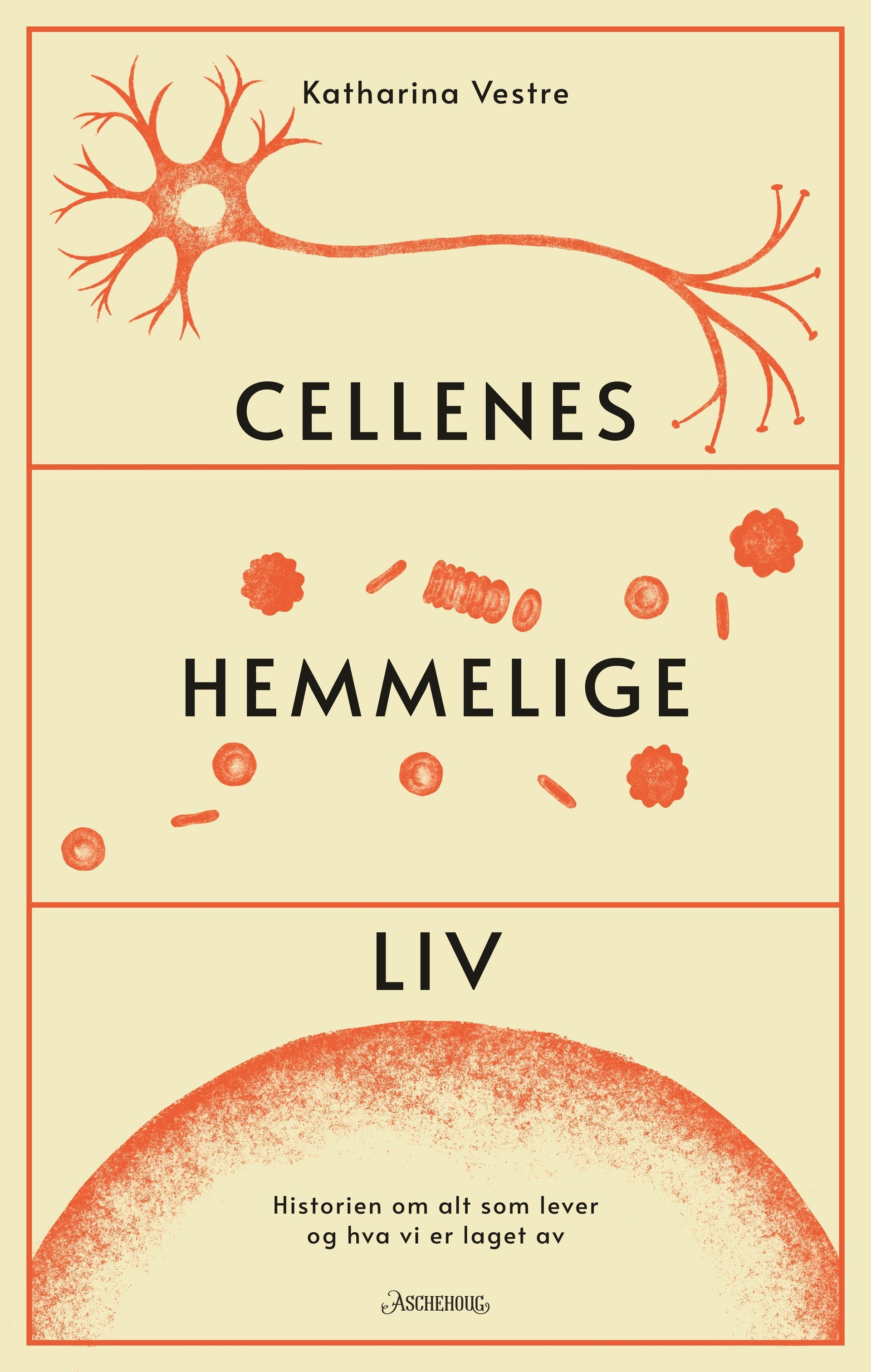 Cellenes hemmelige liv