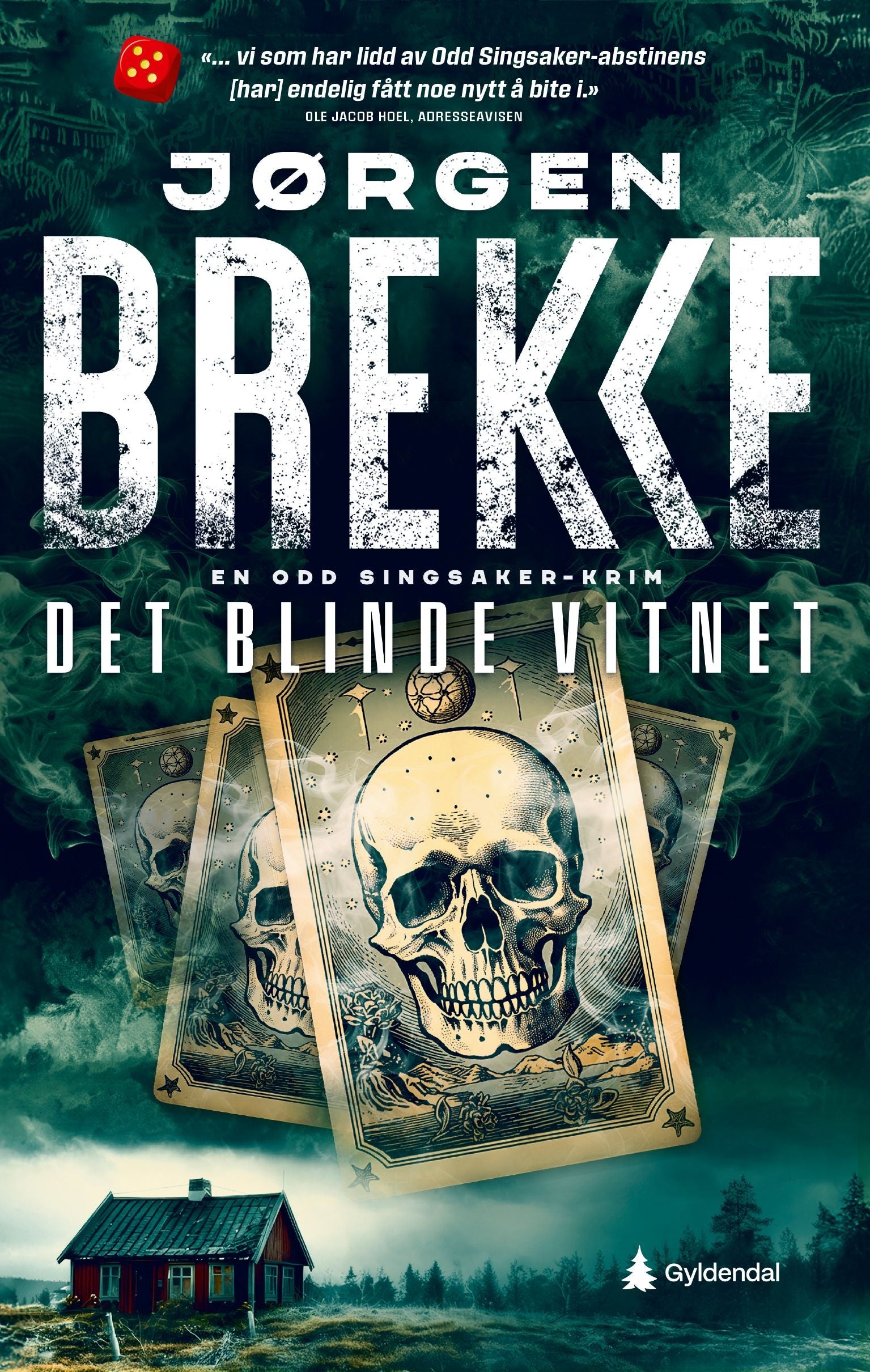 Det blinde vitnet