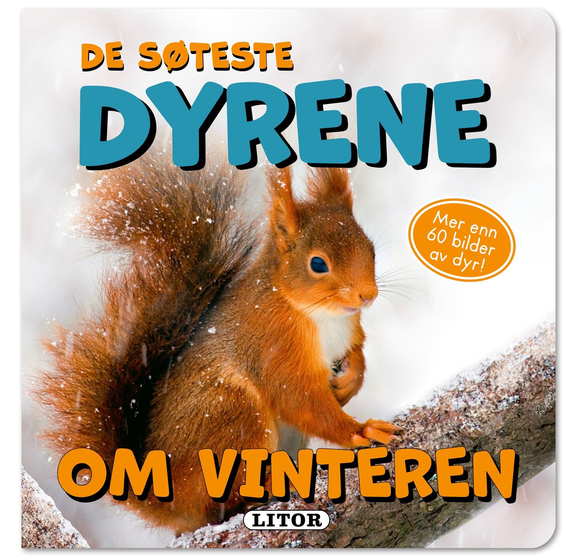 Våre søteste dyr om vinteren
