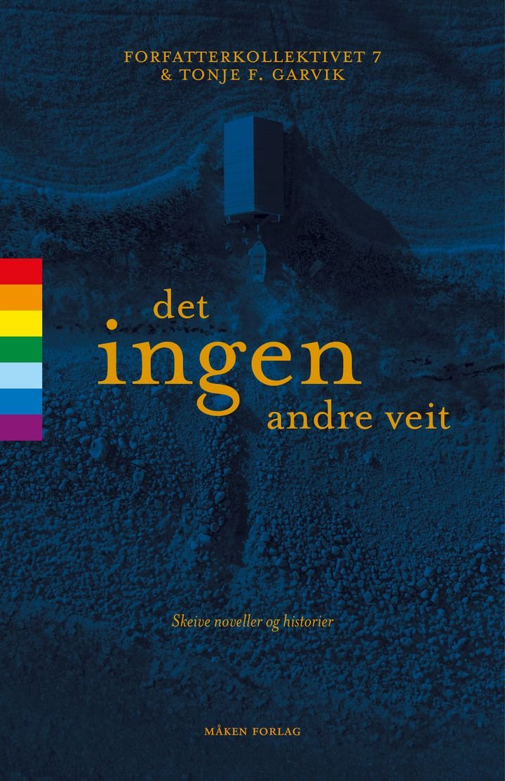 Det ingen andre veit - skeive noveller og historier
