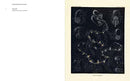 Art Forms from the Abyss: Ernst Haeckel's Images from the HMS Challenger Expedition