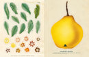 John Derian Sticker Book