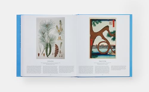 Tree: Exploring the Arboreal World