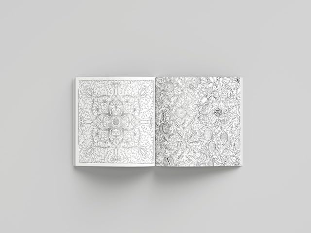 William Morris Coloring Book