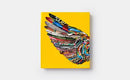 Bird: Exploring the Winged World