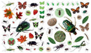 Eyelike Stickers: Bugs
