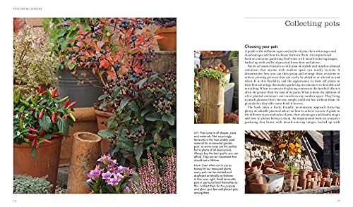 Pots for All Seasons