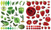 Eyelike Stickers: Colors