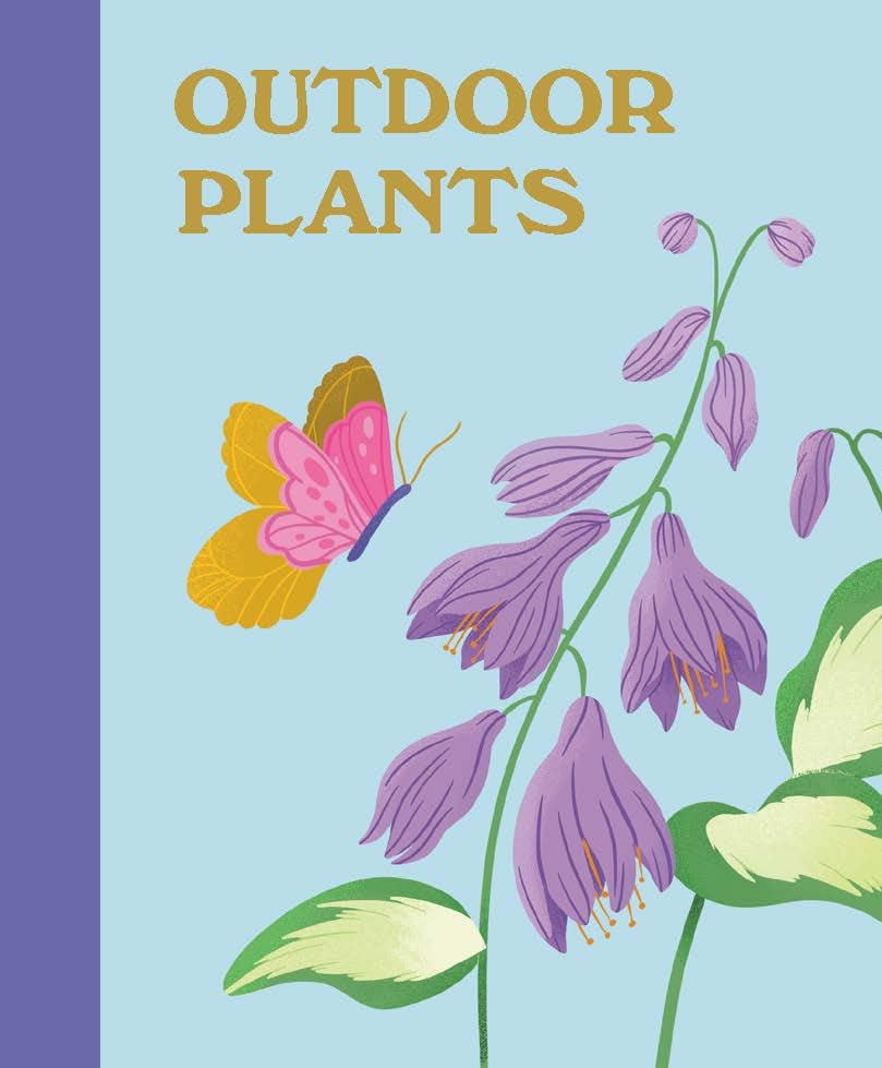 Plant Lover's Box Set: 3 beginner-friendly miniature books