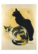 Cats: 50 Postcards