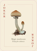 Mushrooms of the Wild