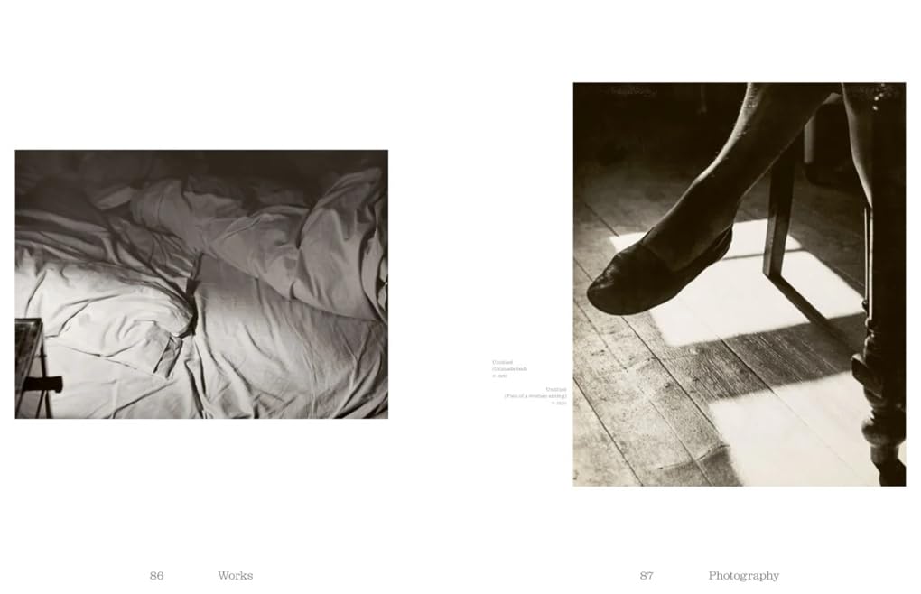 Raoul Hausmann (1886–1971): Vision. Provocation. Dada.
