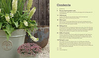 Pots for All Seasons