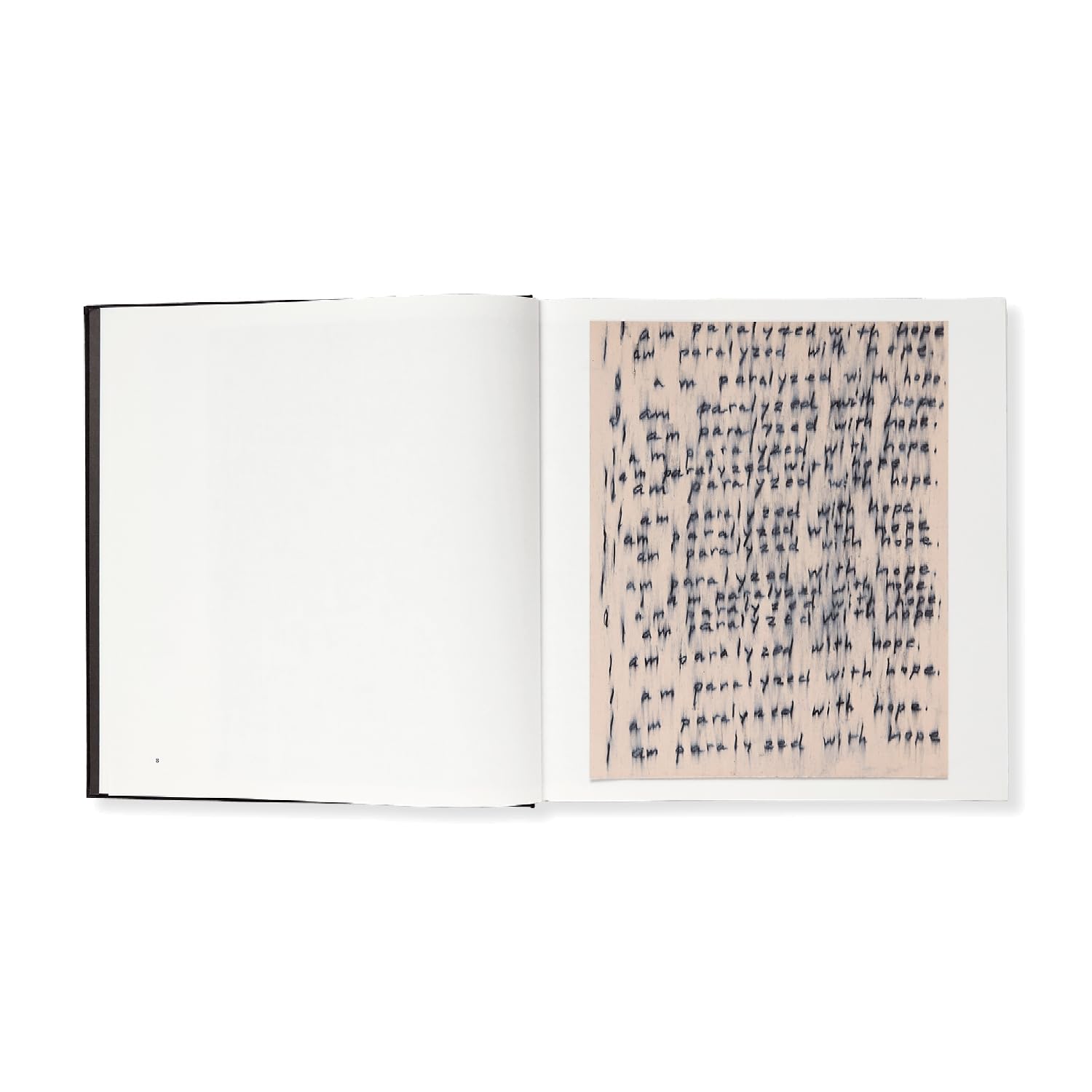 Roni Horn: Seizure of Hope