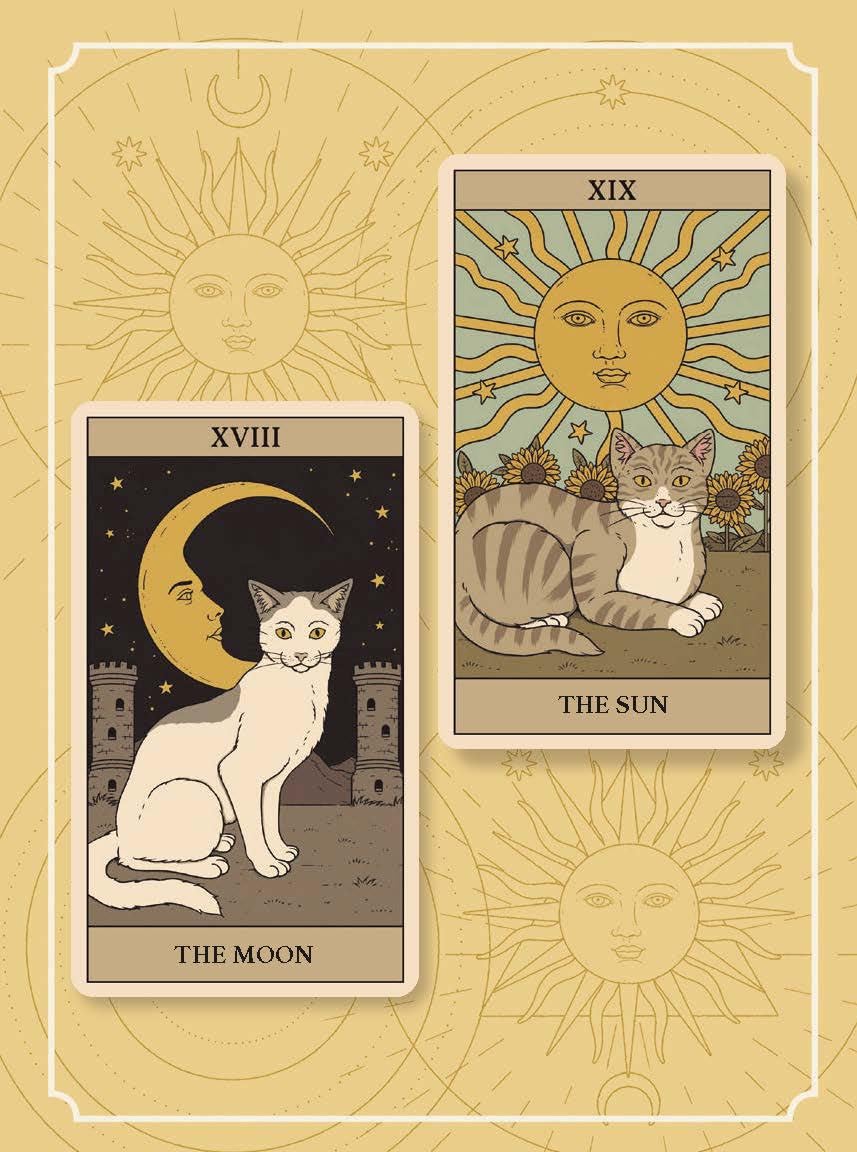 Cats Rule the Earth Tarot: 78-Card Deck and Guidebook for the Feline-Obsessed