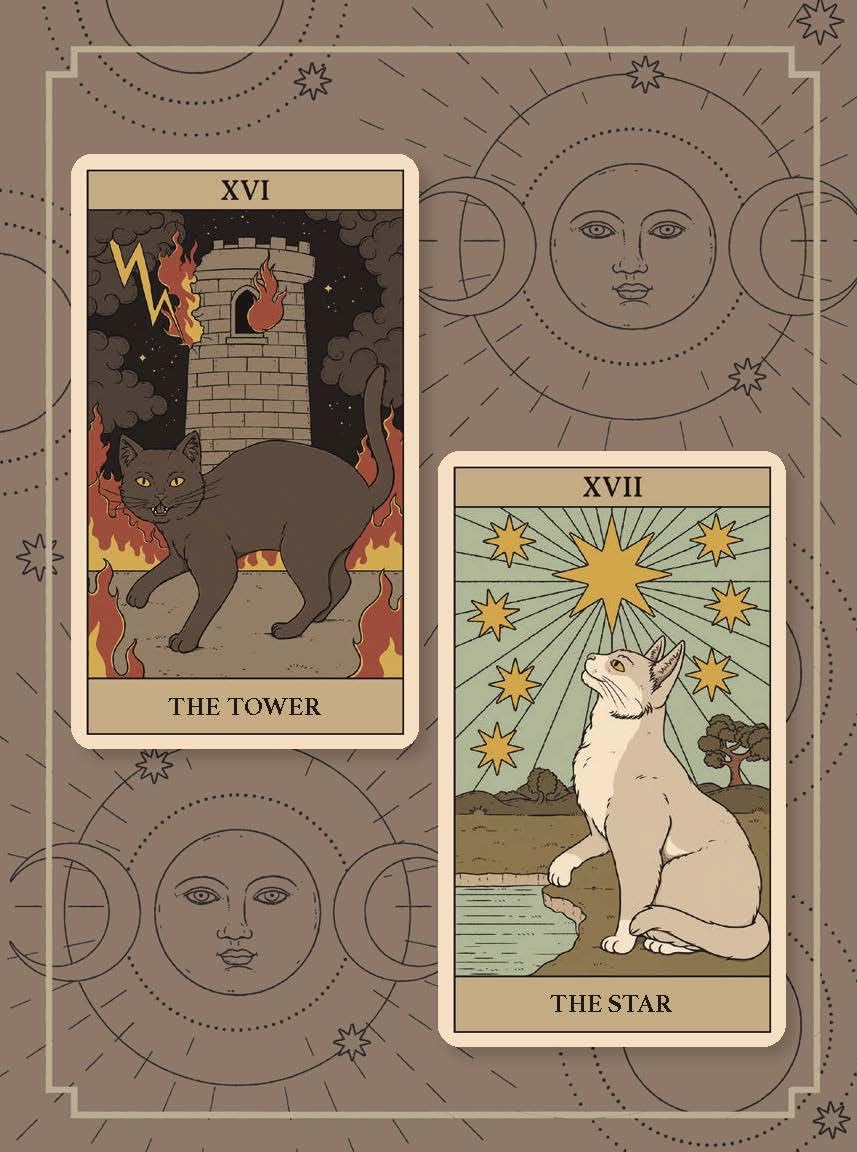 Cats Rule the Earth Tarot: 78-Card Deck and Guidebook for the Feline-Obsessed
