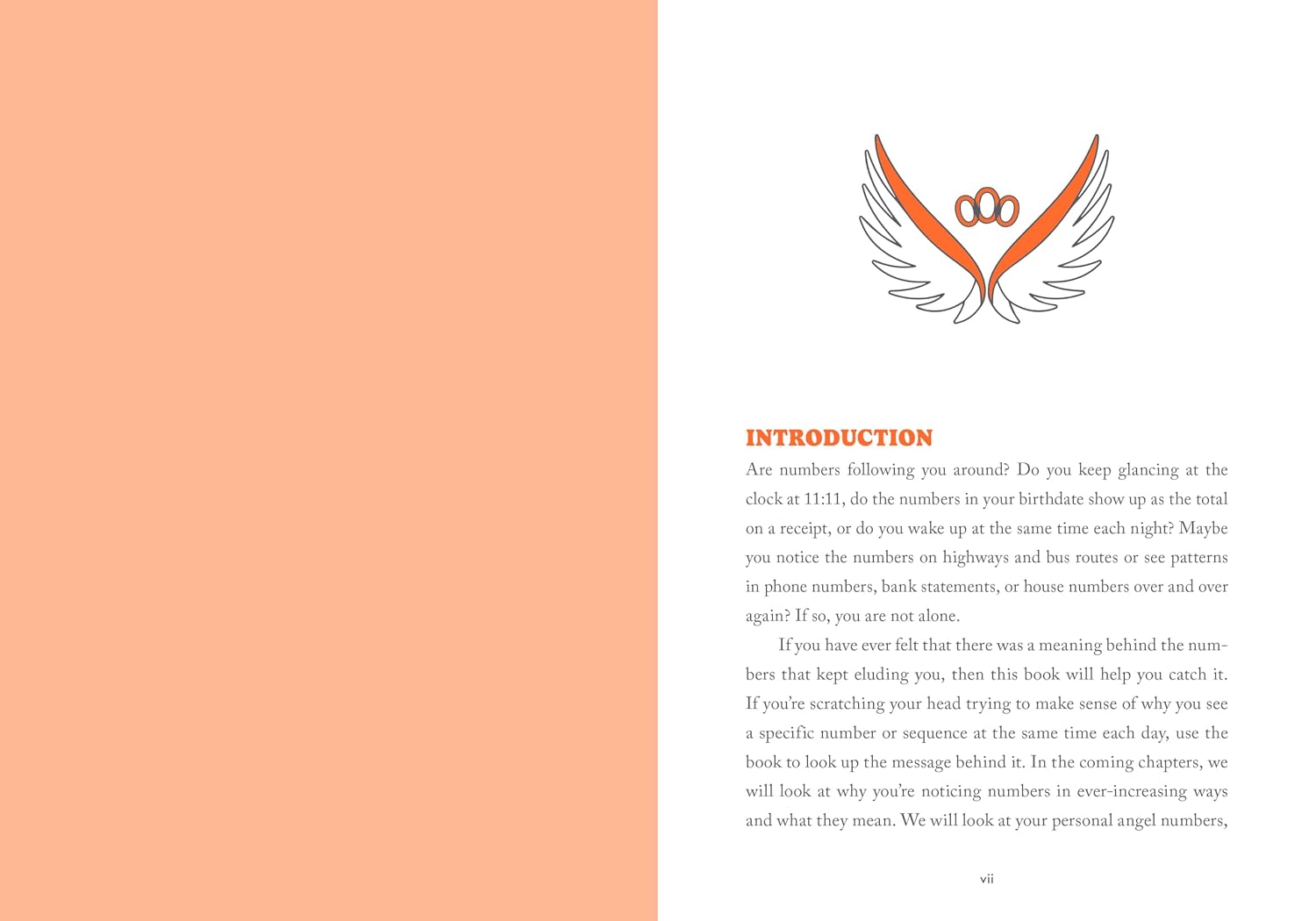 A Little Bit of Angel Numbers: An Introduction to Messages from the Universe
