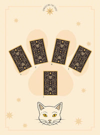 Cats Rule the Earth Tarot: 78-Card Deck and Guidebook for the Feline-Obsessed