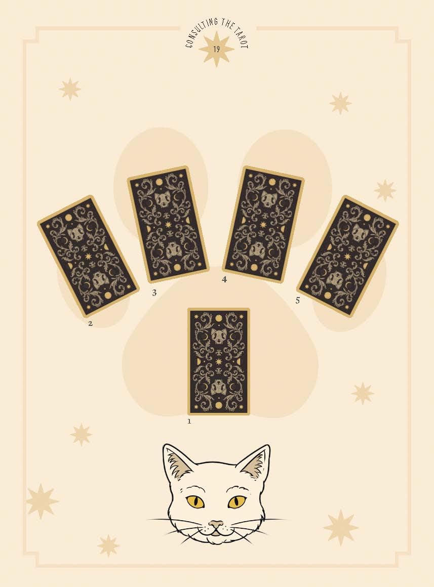 Cats Rule the Earth Tarot: 78-Card Deck and Guidebook for the Feline-Obsessed