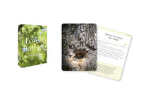 Forest Bathing: 50 nature connection cards