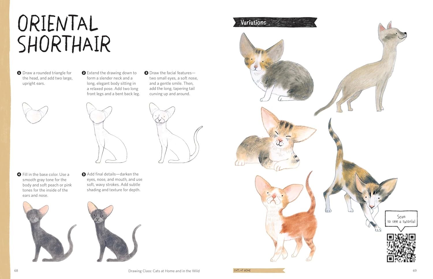 Drawing Class: Cats at Home and in the Wild