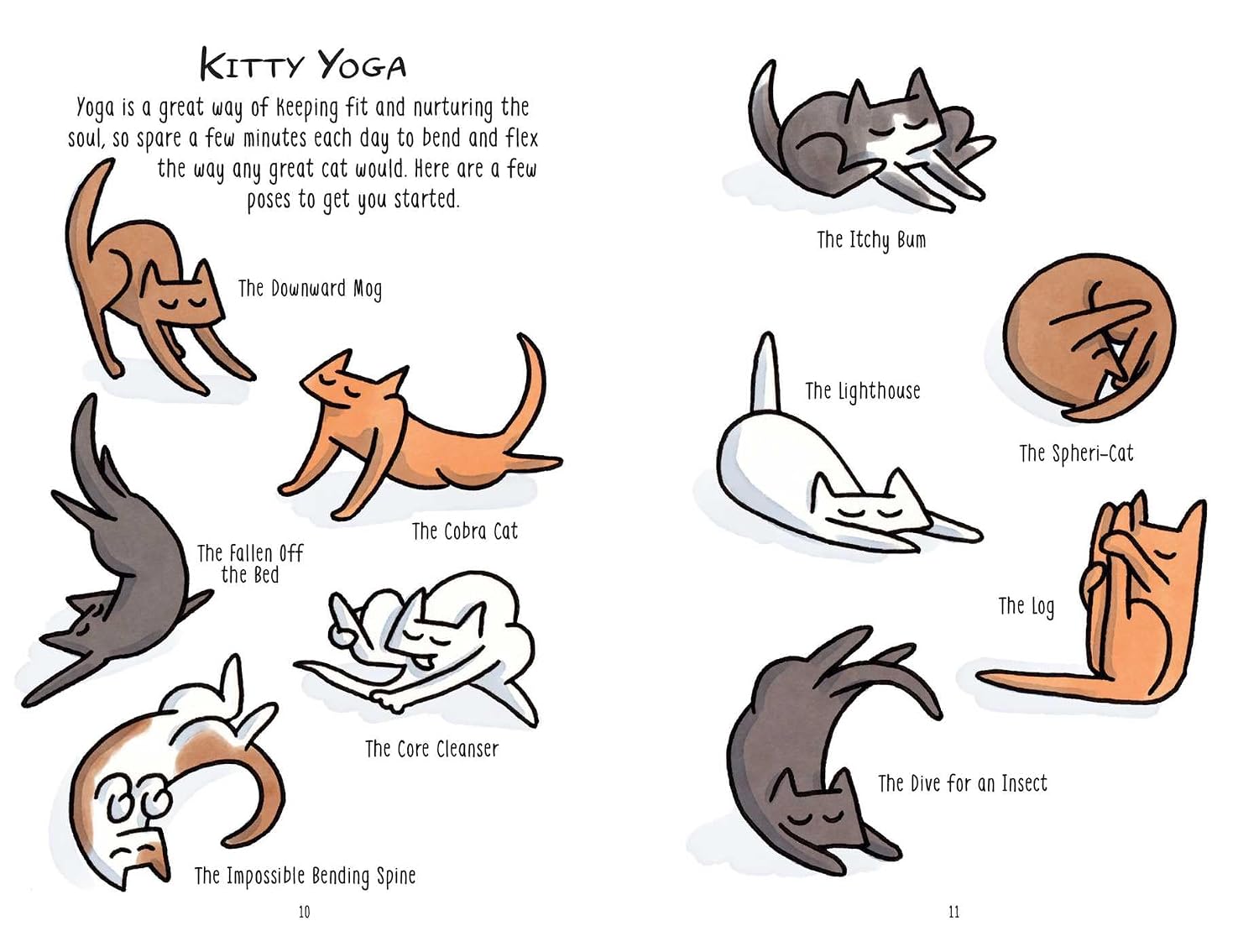 Mindful Meowments: A cat’s guide to feeling purrfectly zen