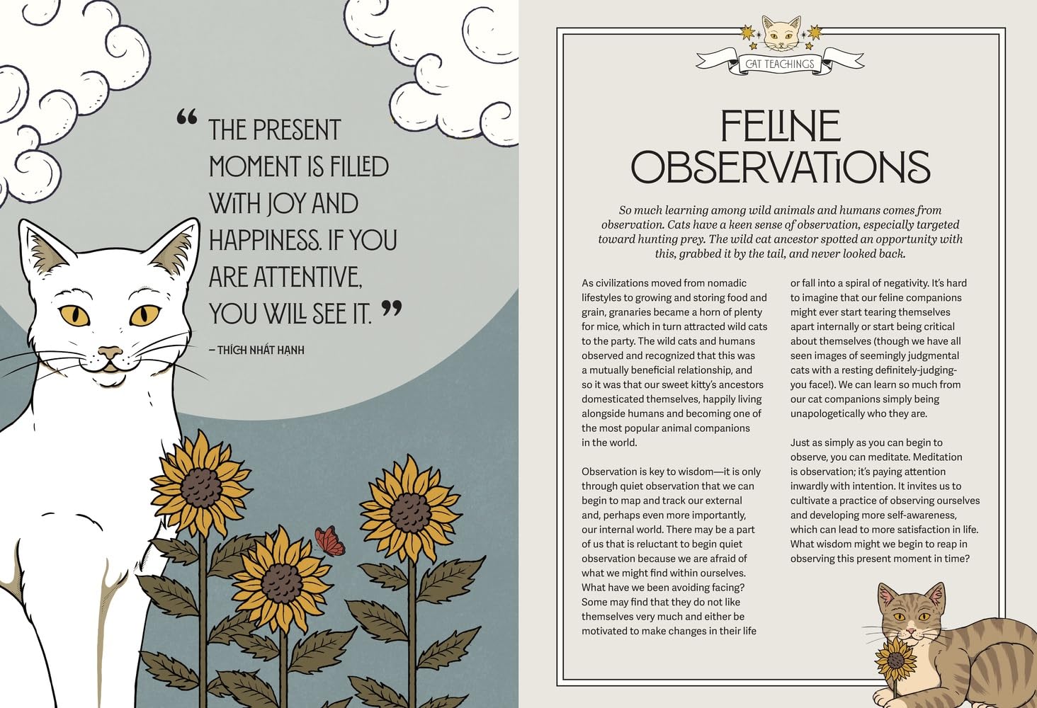 Mystic Kitty: A Cat's Guide to Meditation
