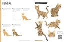 Drawing Class: Cats at Home and in the Wild