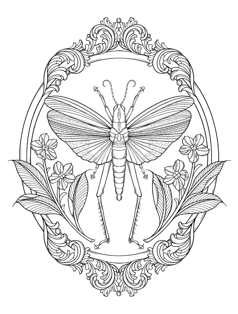Bugs & Blooms: A Botanical Coloring Book