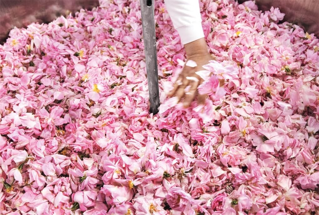 Fragonard: The Parfume of Provence