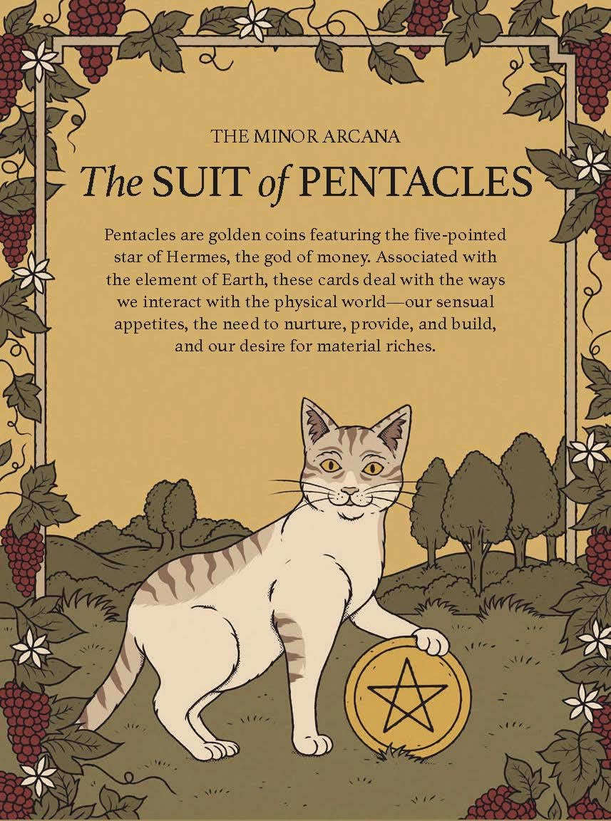 Cats Rule the Earth Tarot: 78-Card Deck and Guidebook for the Feline-Obsessed