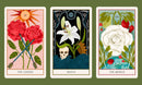 Floral Tarot: Access the Wisdom of Flowers