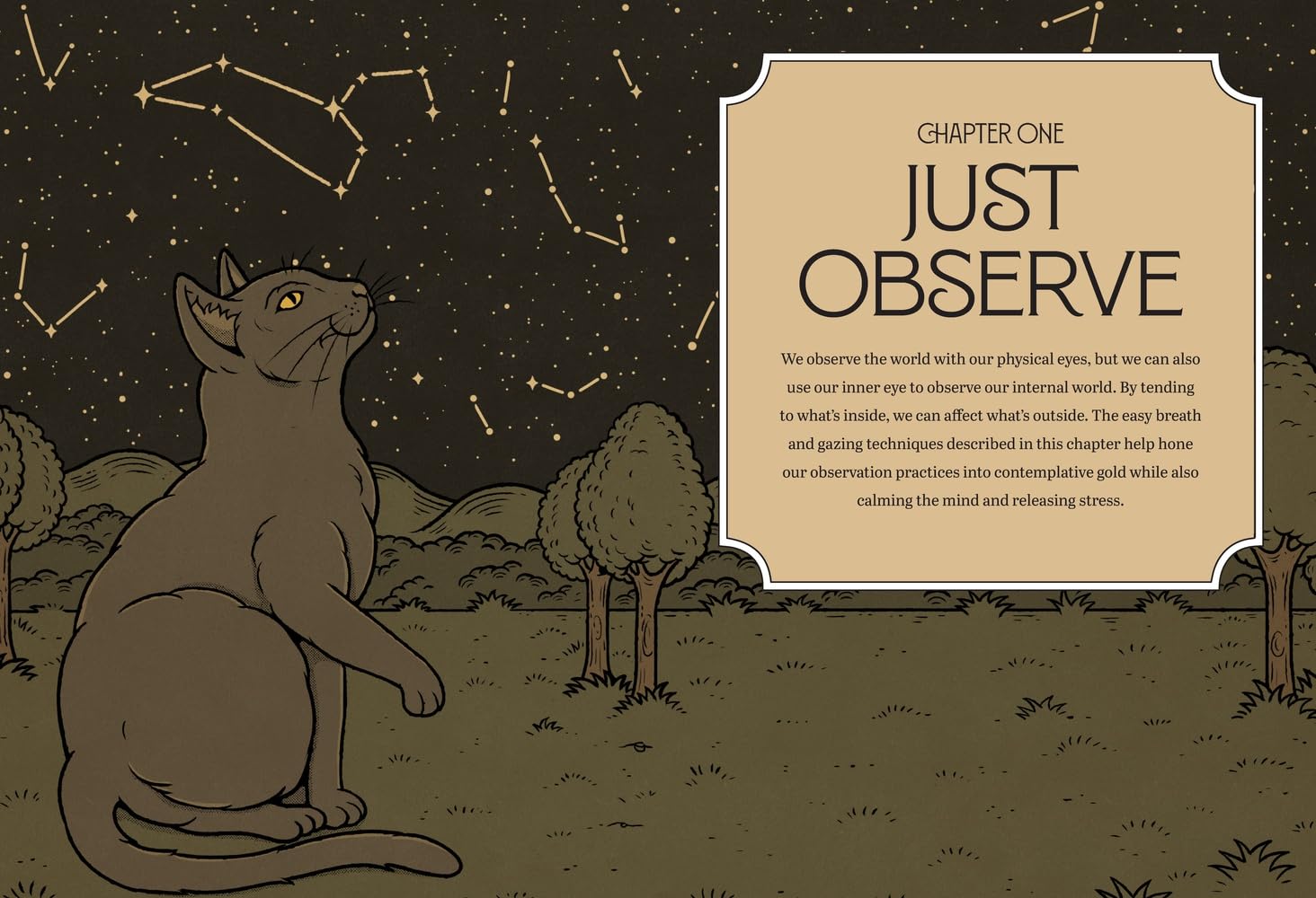 Mystic Kitty: A Cat's Guide to Meditation