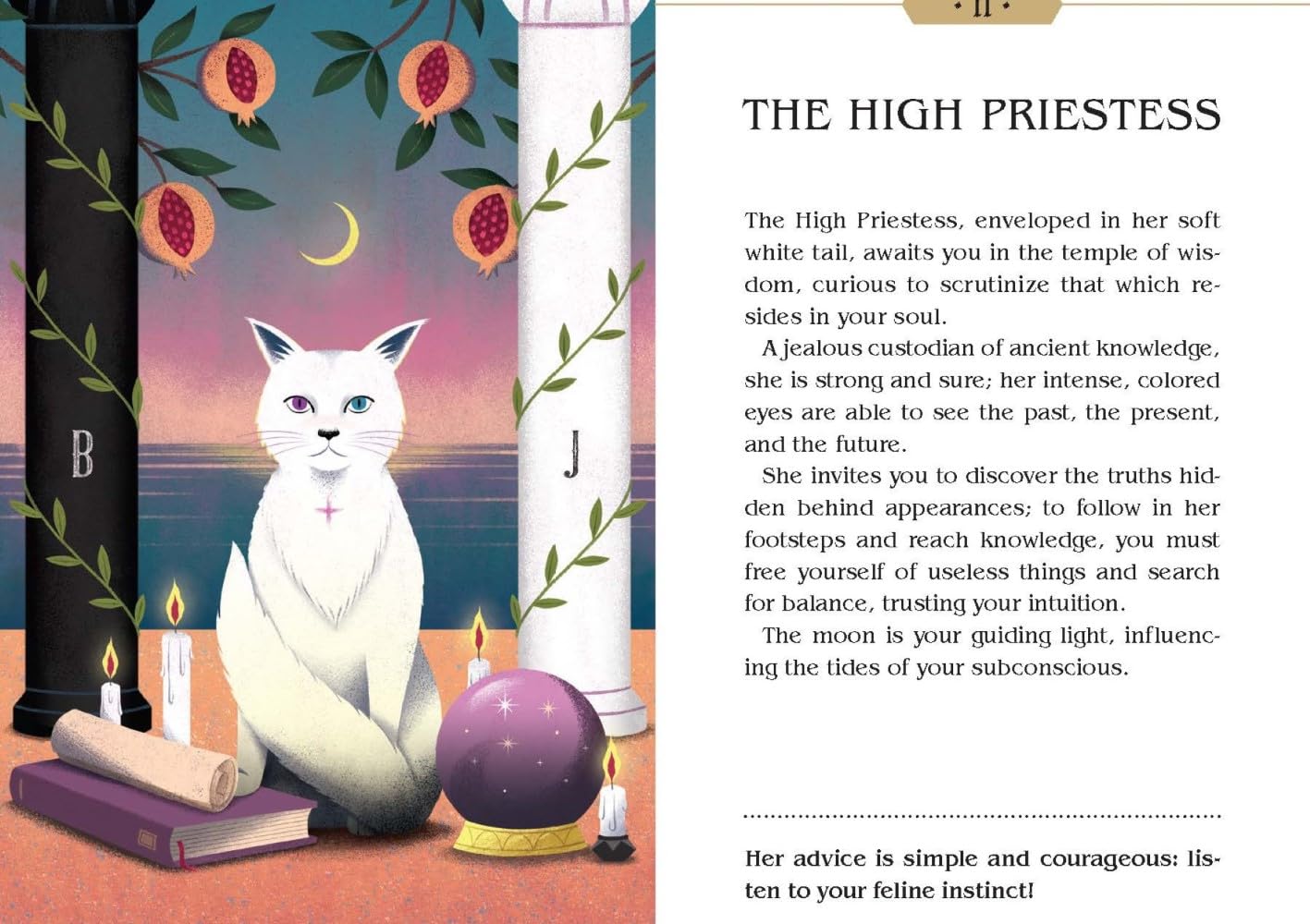 Magic Cats Tarot
