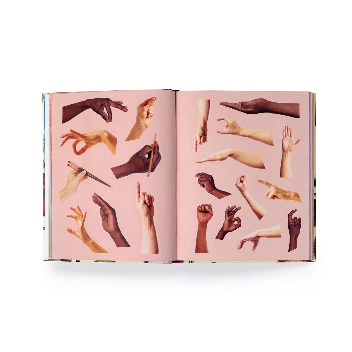 Extraordinary Things Sticker Book