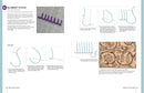 RSN Stitch Bank: 200 Essential Embroidery Stitches