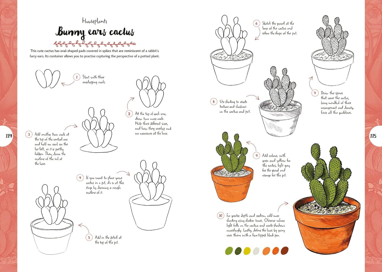 10 Step Drawing: Botanicals: Draw over 50 plants in 10 easy steps