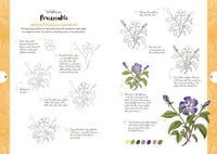 10 Step Drawing: Botanicals: Draw over 50 plants in 10 easy steps