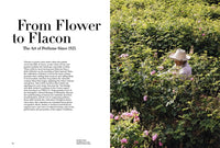 Fragonard: The Parfume of Provence