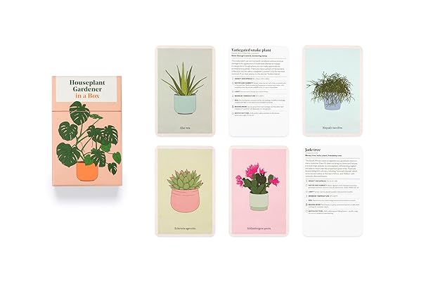 Houseplant Gardener in a Box: How to Care for Indoor Plants