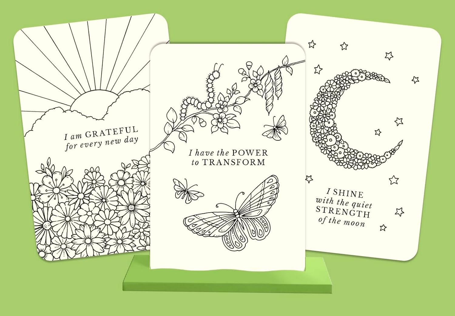 Johanna Basford's Notes from Nature: 30 Affirmation Cards to Colour