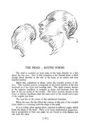 Heads, Features and Faces