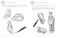 Pocket Prompts Drawing: Tips & Techniques to Inspire Your Practice