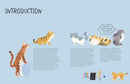 Drawing Class: Cats at Home and in the Wild