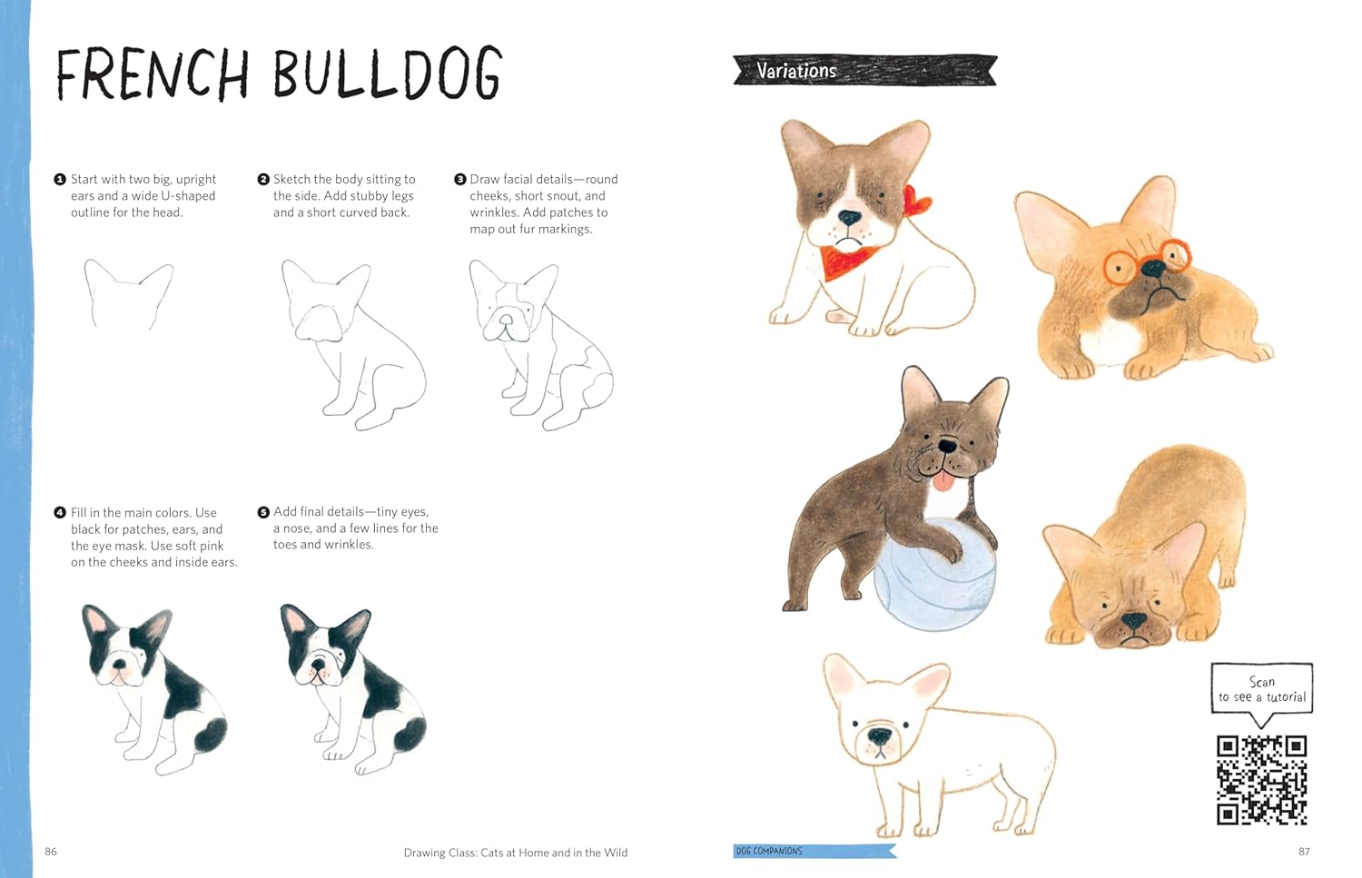 Drawing Class: Cats at Home and in the Wild