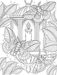 Bugs & Blooms: A Botanical Coloring Book